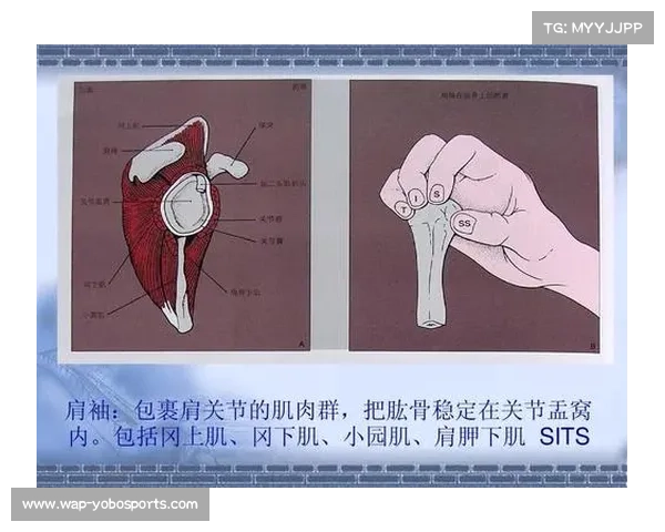 运动医学团队发布报告：青少年选手肩关节损伤率下降15%